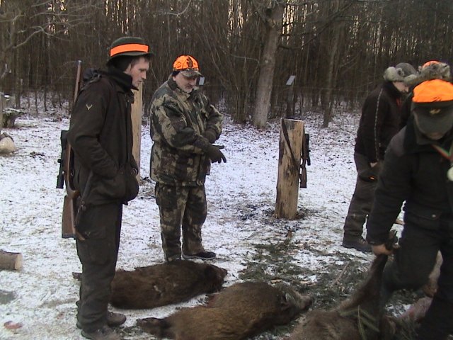 Polowanie noworoczne 03.01.2016